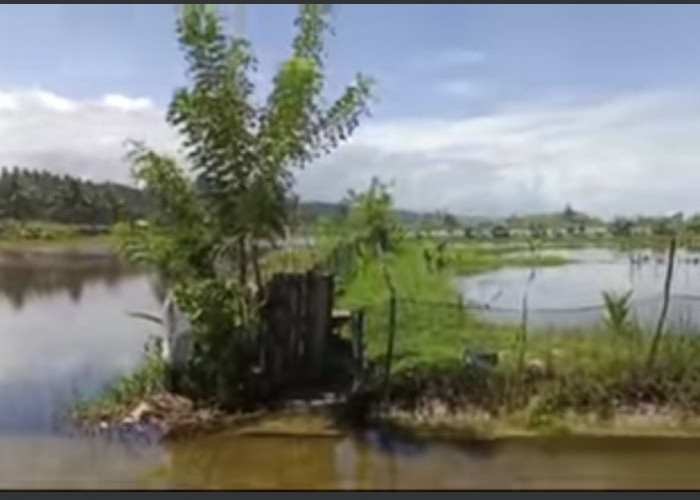 Siagakan Alat Berat, Bupati Bengkulu Selatan Perintahkan TRC Atasi Banjir Bunga Mas