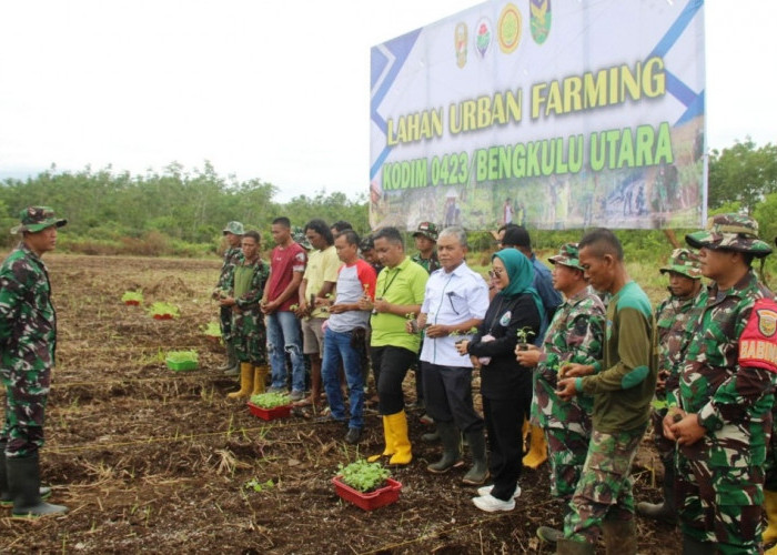 Dukung Program Makan Bergizi Gratis, Dandim 0423 Bengkulu Utara Siap Kelola Lahan Urban Farming 