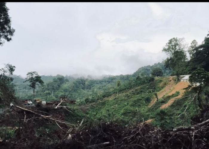 Banjir dan Longsor di Rejang Lebong Akibat Cuaca Ekstrem dan Kerusakan Lingkungan