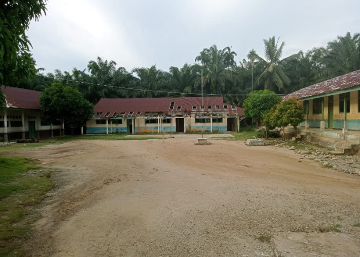 Anggota DPR Kaur Kecewa dengan Kondisi SDN 34 di Desa Tanjung Aur 