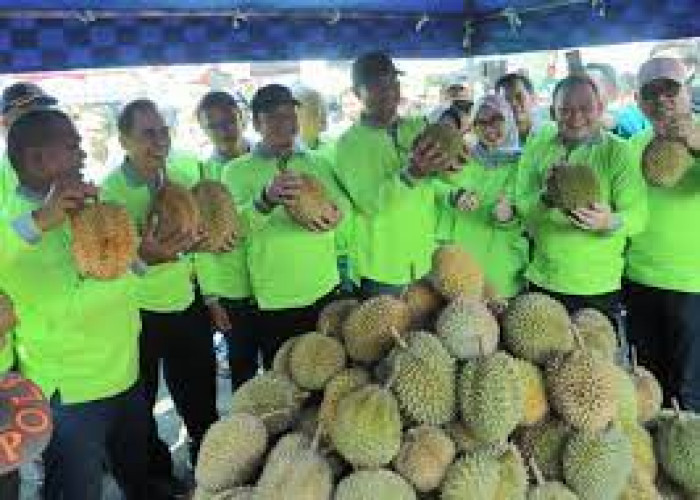 Tips  Memilih Buah Durian Sebelum Dibeli 