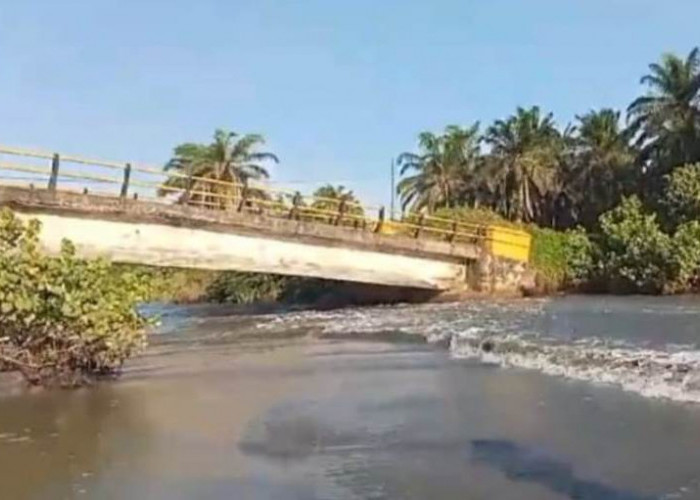 Jembatan Penghubung   Seluma Selatan - Ilir Talo Terancam Putus