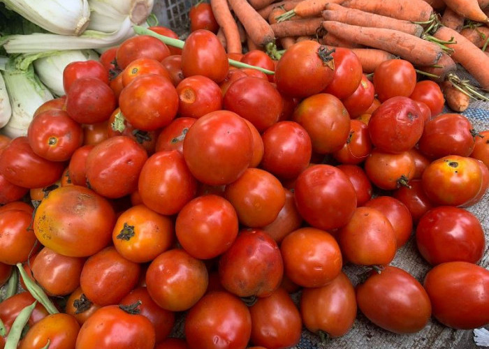 Pedagang Mulai Bersemangat,  Harga Tomat Sudah Meningkat 