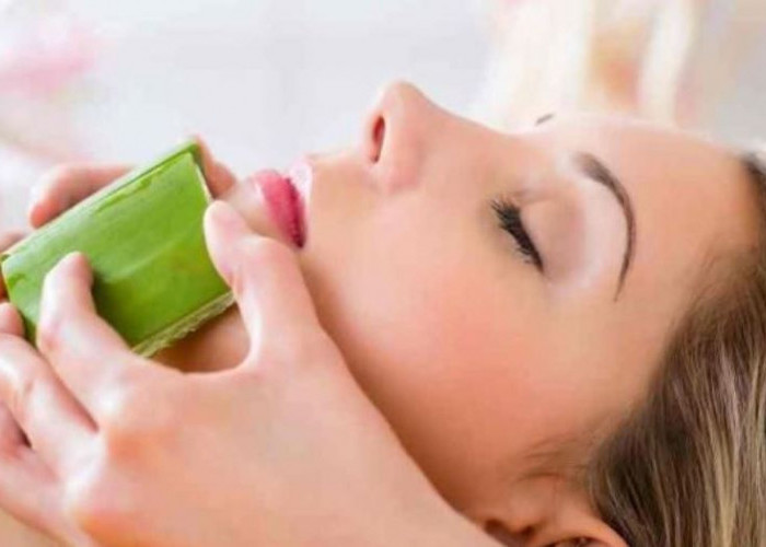 Ini Dia  Khasiat Tanaman Lidah Buaya, Solusi Alami untuk Kulit Glowing 
