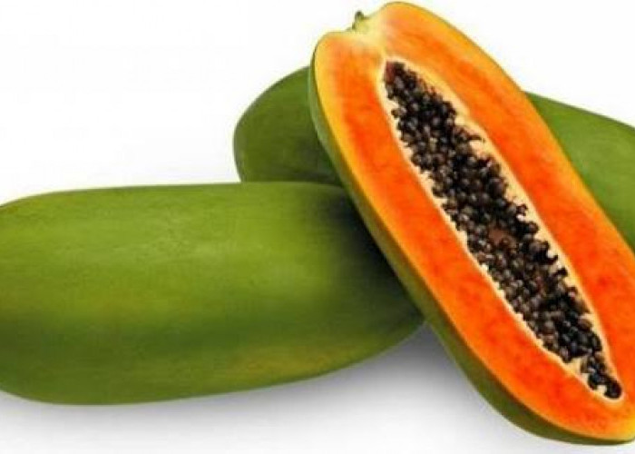 Jangan Campur Makanan ini Dengan Pepaya, Kenapa ya? 