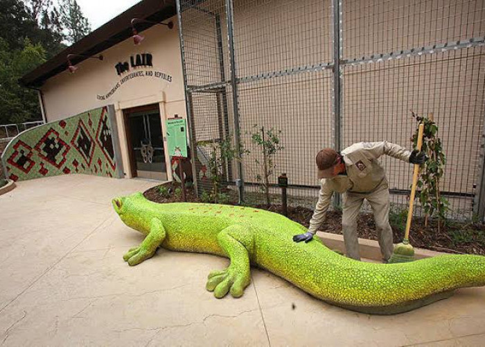 5 Tempat Wisata Edukasi Ular dan Reptil: Belajar tentang Reptil dalam Lingkungan yang Aman