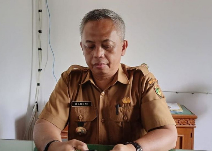 Karena Tidak Ada Anggaran, Program Bibit Gratis DKP Bengkulu Selatan Berhenti