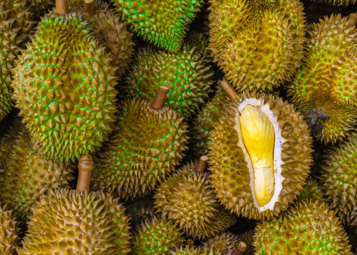 7 Rekomendasi Tempat Kuliner Durian Enak di Bandung