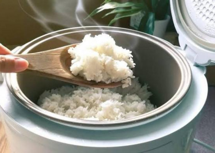 Kabar Gembira! Pemprov Bengkulu Segera Bagikan 800 Rice Cooker ke Masyarakat
