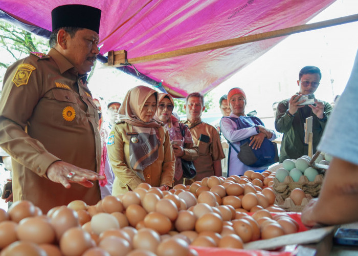 Wagub Bengkulu Pantau Harga Bahan Pokok Jelang Ramadhan 1446 H, Cabai Merah Alami Kenaikan