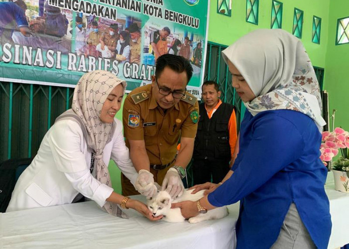  Gratis, Dinas Ketahanan Pangan dan Pertanian  Kota Bengkulu  Lakukan Vaksinasi Hewan Peliharaan  