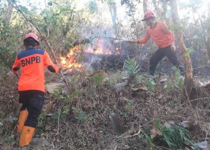 BNPB Imbau Warga Waspada Musim Kemarau