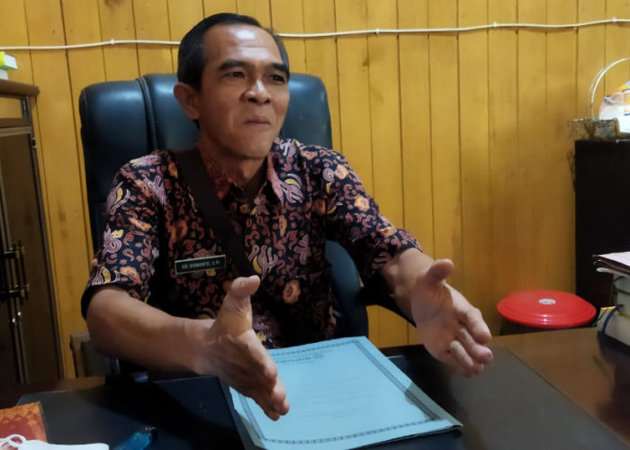 Bengkulu Selatan Usulkan Bibit Jagung dan Padi Sebanyak Ini