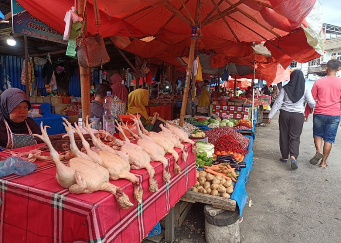 Infonya Naik Lagi, Harga Ayam Potong di Pasar Panorama  Bengkulu Melonjak Karena Ini