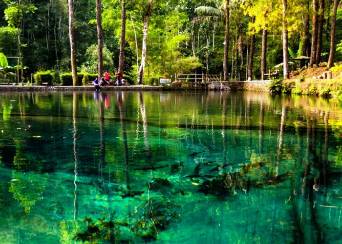 3 Wisata Cantik Mempesona di Kabupaten Blitar Provinsi Jawa Timur, Ayo Kunjungi Bersama Orang Tersayang