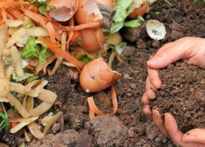 Ini Dia Cara Membuat Pupuk Organik Cair dari Limbah Dapur