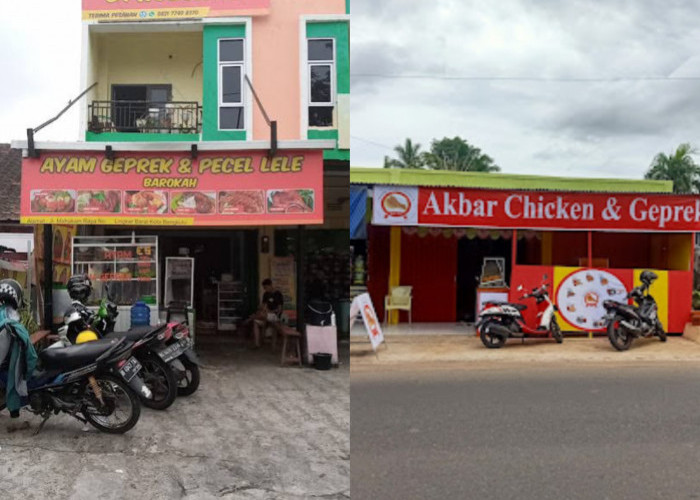 Wajib Dicoba! 7 Tempat Makan Ayam Geprek di Bengkulu yang Mendapat Rating Tertinggi di Google Maps