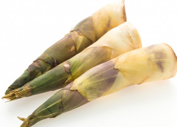 Rebung Disebut Ilmuwan Inggris Bakal Jadi Superfood Masa Depan