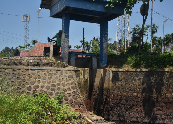 Akibat Pembangunan Jembatan Elevated di DDTS, Air Tidak Mengalir ke Sawah
