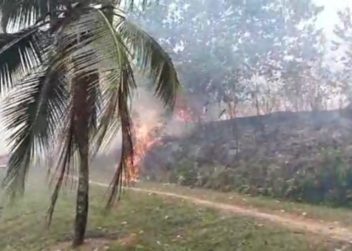 Setelah Kantor Desa Muara Danau, Taman Panco Raden Ikut Terbakar