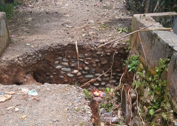 Jalan Rusak, Pedagang Pasar Lubuk Tapi Terpaksa Berjualan di Pinggir Jalan Lintas