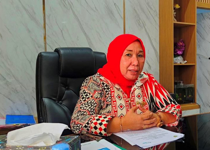 Dinas Kelautan dan Perikanan Bengkulu Selatan  Lakukan Pengadaan Indukan Ikan Nila