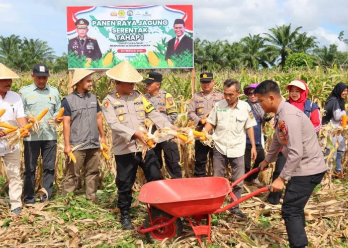 Ini Bukti Polres Bengkulu Selatan Mendukung Ketahanan Pangan Nasional, Panen Raya Tahap I Sukses