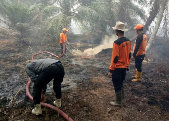 Gawat, Tim Pemadam Kebakaran Hutan dan Lahan Mukomuko Masih Berjibaku, Butuh Tambahan Personel dan Peralatan