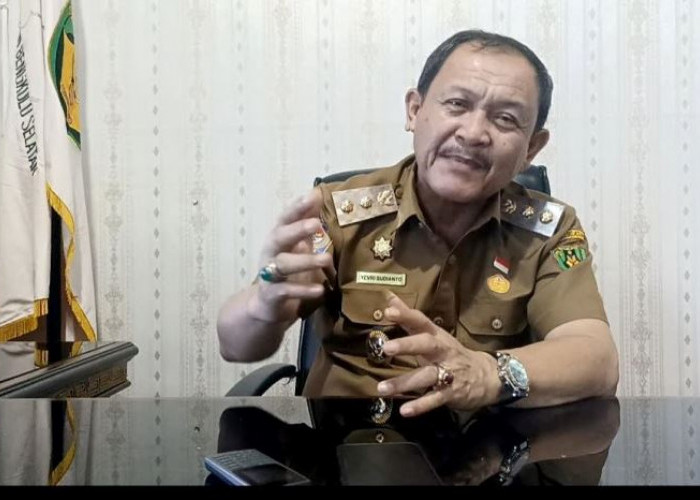 Pemda Bengkulu Selatan Akan Beri Pendampingan Untuk Pemilik Warem yang Ditertibkan