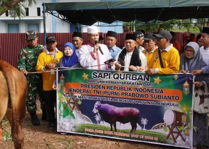  Presiden Prabowo Subianto Sumbang Sapi Kurban untuk Masyarakat Kota Bengkulu