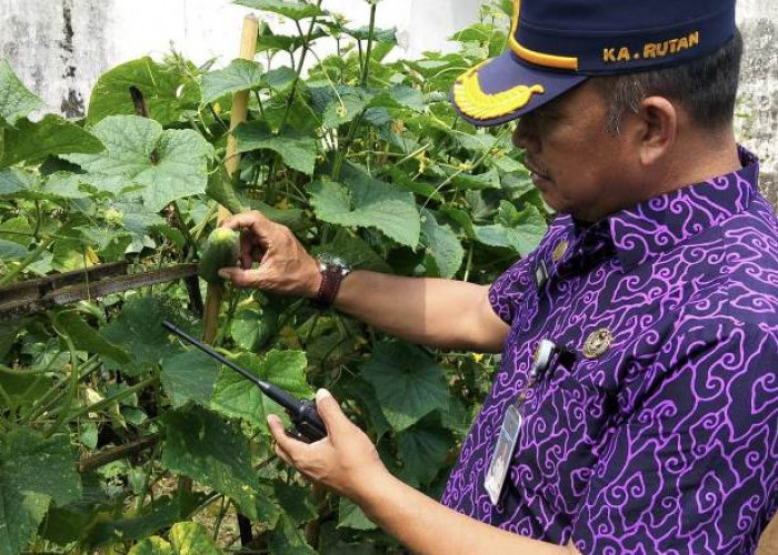 Kepala Rutan Kelas II B Manna Pastikan Program Pembinaan Kemandirian Bidang Pertanian