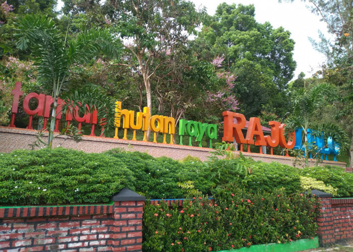 Yuk kunjungi Tahura Raja Lelo, Cocok Banget Buat Weekend Bersama Keluarga