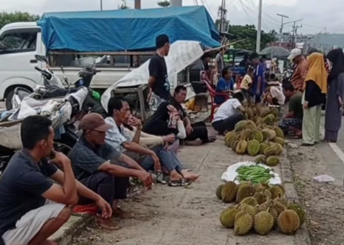 Alun-Alun Kota Tais Kini Jadi Tempat   Pedagang Jual Buah Durian