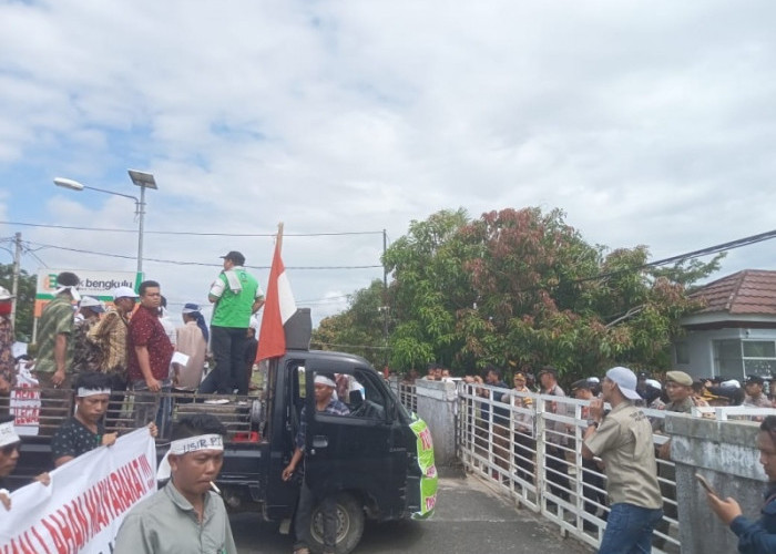 Perkumpulan Petani Sawit Sejahtera Lakukan Aksi Damai di Pemda Kaur, Ini Penjelasan Asisten II