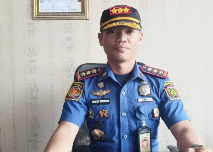 Usulkan Direvisi, Perda Hewan Ternak Belum Bisa Beri Efek Jera,  Masih Banyak Berkeliaran