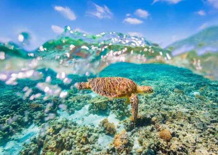 6 Tempat Wisata di Dunia Ini Terancam Hilang, Pernahkah Mengujunginya?