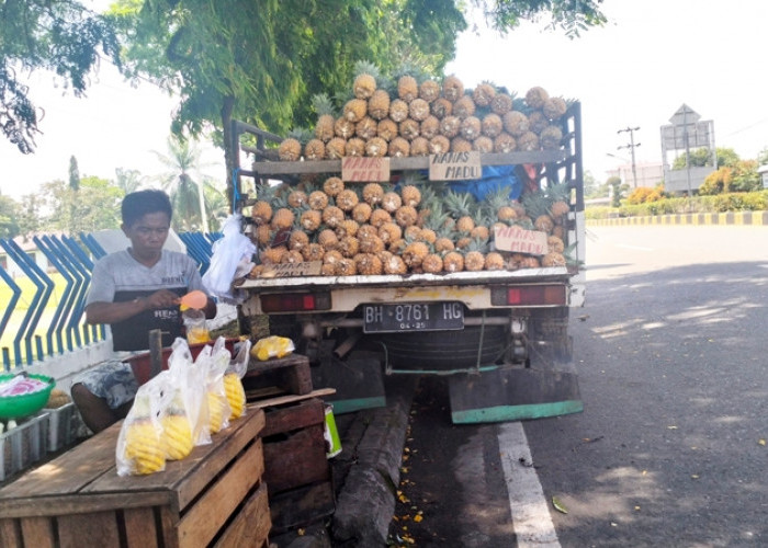 Menguntungkan, Pedagang Nanas Madu Pinggir Jalan Raup Omzet Rp 2 Juta per Hari