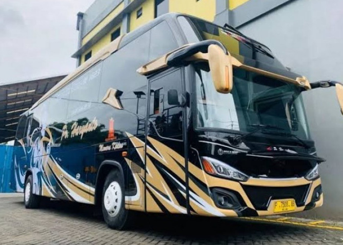 Update Jadwal Keberangkatan Bus Haryanto dan Tarif Terbaru Hari Ini