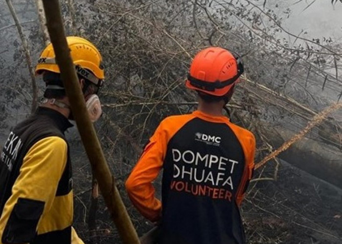 138 Tersangka Kasus Karhutla Ditetapkan, 8 Korporasi Ikut Didalami