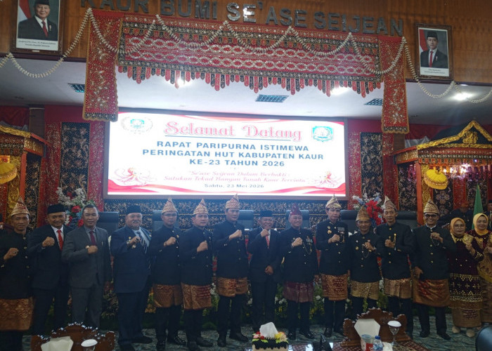 Harga Sawit Anjlok, Pemprov Bengkulu Bergerak Cepat Cari Solusi hingga ke Pemerintah Pusat
