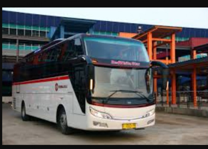 Berikut Jadwal Bus Primajasa Tasikmalaya Hari Ini Bandung, Bekasi dan Jakarta