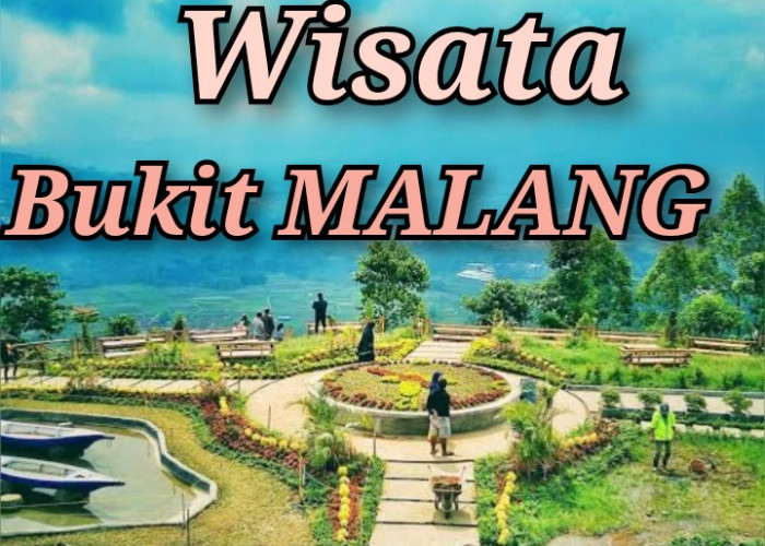 5 Tempat Wisata Bukit di Malang,  Bisa Memandang Sunrise Hingga Berkemah!