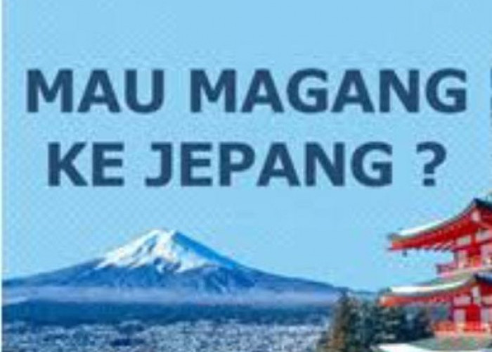 Ini Link Informasi Program Magang ke Jepang yang Dibuka Provinsi Bengkulu