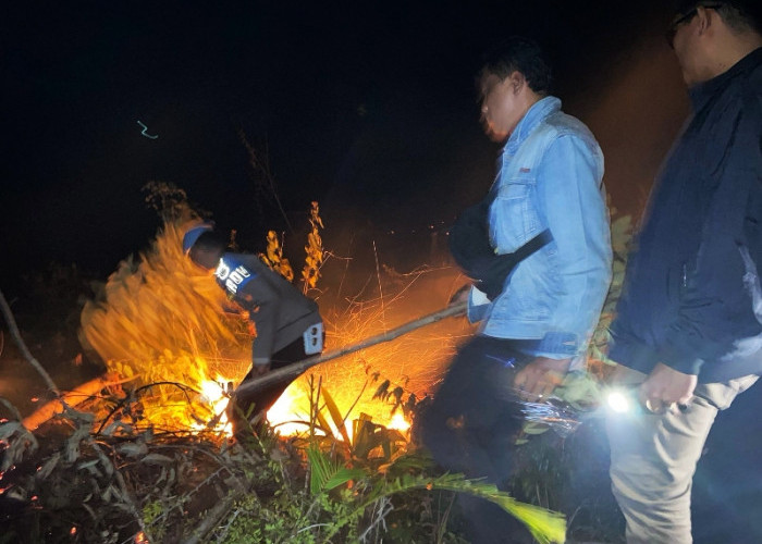 5 Hektar Kebun Sawit di Desa Tanjung Aur 1 Terbakar 