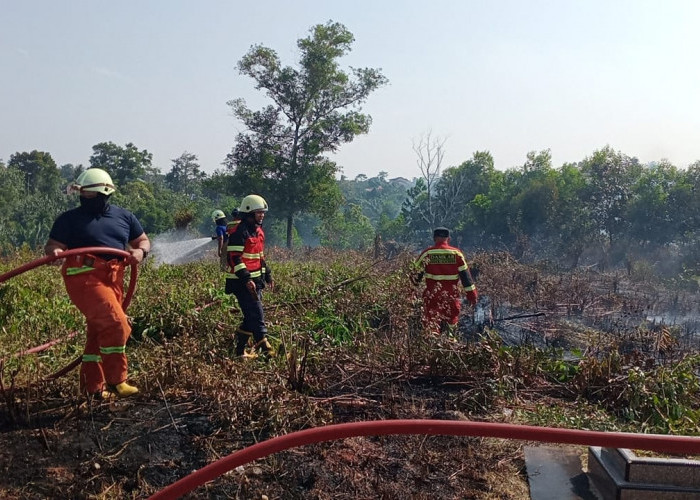 Heboh Kebakaran Melanda 1 Hektar Lahan Pemakaman Kembang Tanjung Kota Bengkulu