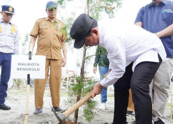 Pemkot Bengkulu dan Pelindo Hijaukan Kawasan Pelabuhan Pulau Baai