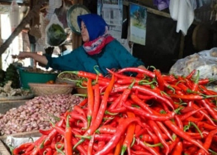 Jalan di Pasar Panorama Makin Luas, Pedagang Mulai 'Bernapas' di Dalam Kios
