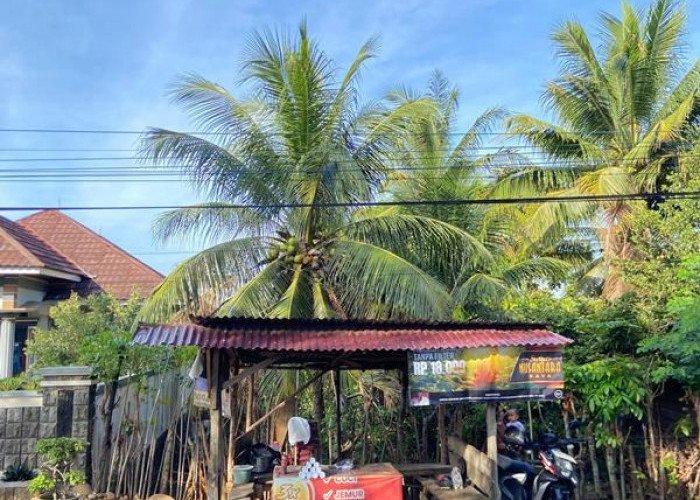 Pedagang Lemang Tapai Bengkulu Tetap Jaga Tradisi Ditengah Perubahan Zaman