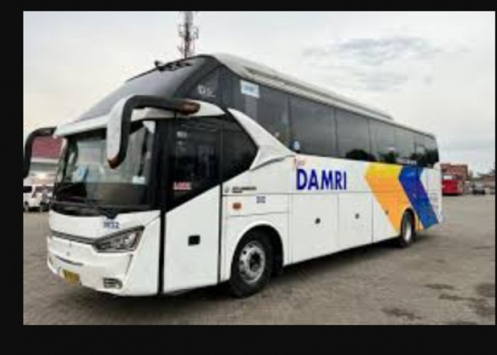 Berikut ini Jadwal Bus Damri dari Jogja ke Bandara YIA