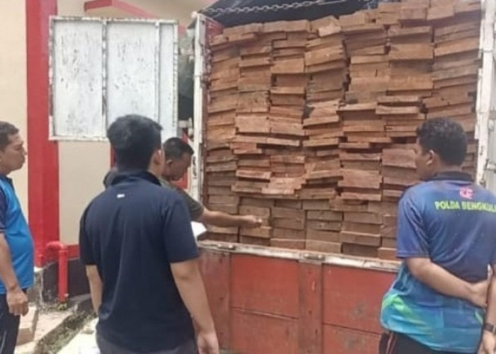 Mencurigakan, 246 Keping Kayu Meranti Merah Diamankan Polres Kaur